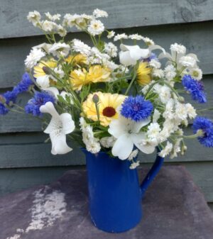 IMG_20250615_113331302_HDR