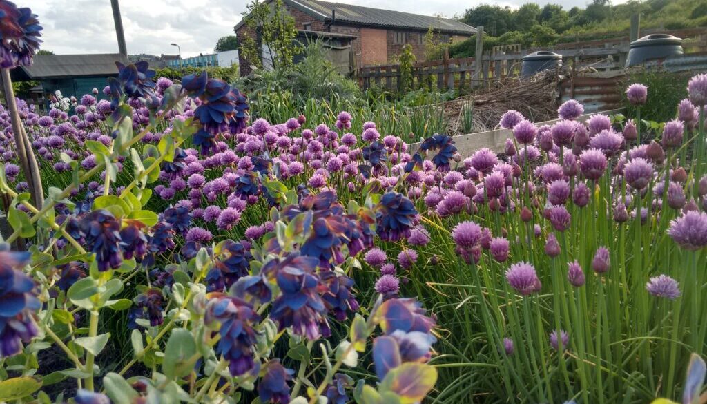 IMG_20170521_184524657_HDR