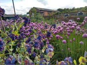 IMG_20170521_184524657_HDR