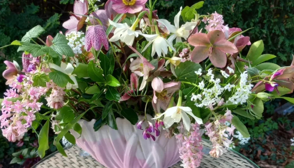 IMG_20240324_111604_131