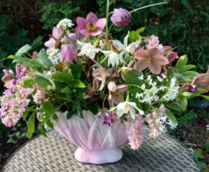 IMG_20240324_111604_131