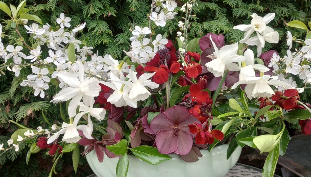 IMG_20250414_152516794_HDR