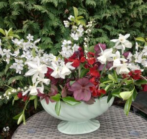 IMG_20250414_152516794_HDR