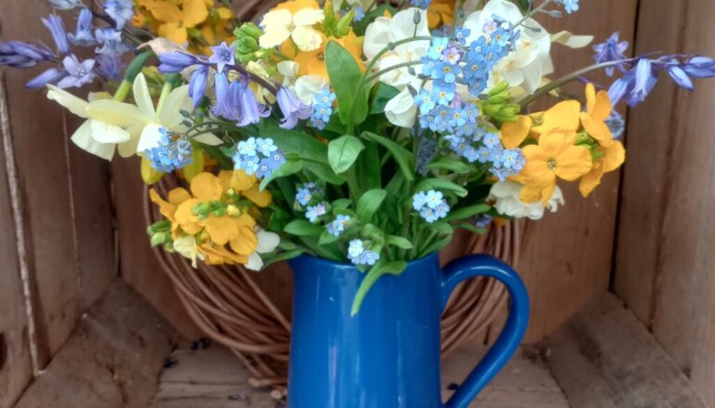 IMG_20250414_155100385_HDR