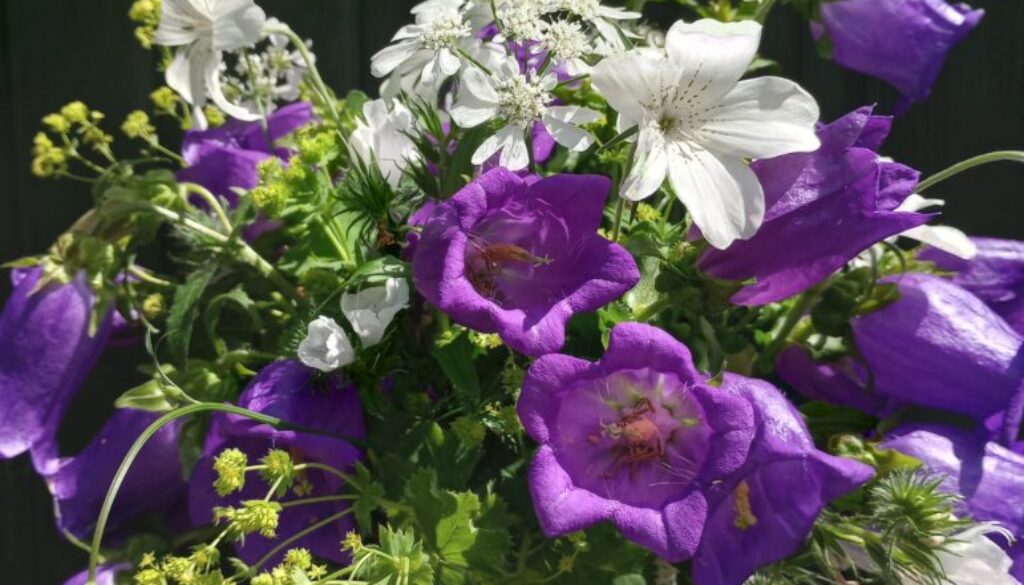 IMG_20240616_121640437_HDR