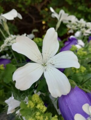 IMG_20240616_174303220_HDR