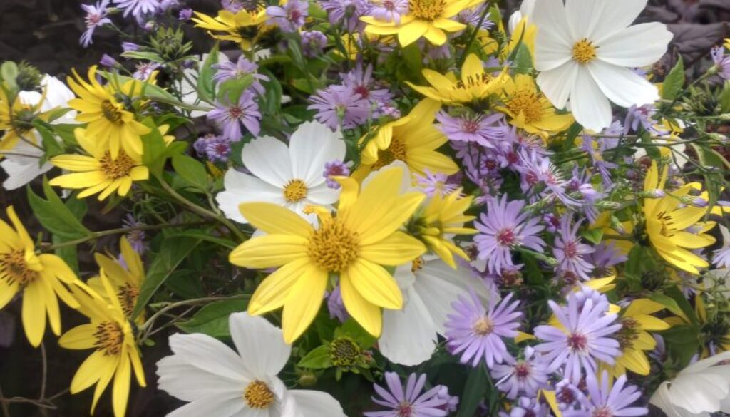 IMG_20260927_142834651_HDR