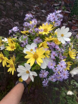 IMG_20260927_142834651_HDR